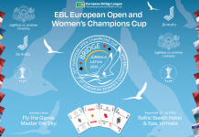 European Champions Cups: time for the Semifinals!